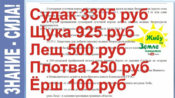 Рыболовные правила 2019. Как не остаться без штанов после рыбалки. — Видео от Алексей Ковалев