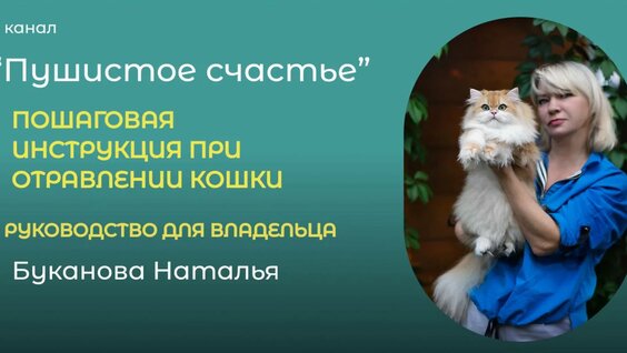 ОТРАВЛЕНИЕ КОШКИ. ПЕРВАЯ ПОМОЩЬ. РУКОВОДСТВО ДЛЯ ВЛАДЕЛЬЦА — Видео от Питомник БРИТАНСКИХ-ШОТЛАНДСКИ...