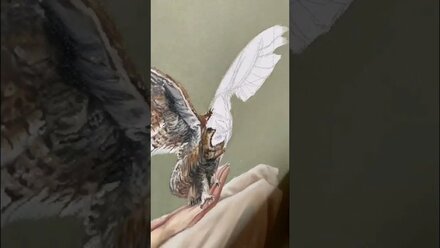 Inst: artilmira #искусство #oilpainting #купитькартину