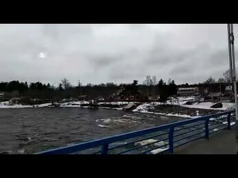 Лосево Лен обл