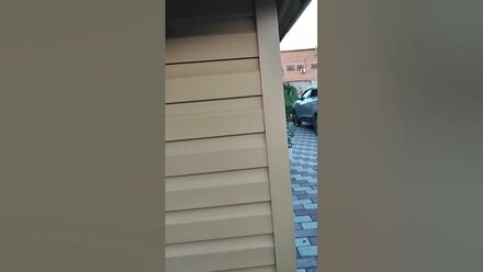 Поймал соседок в своём огороде
