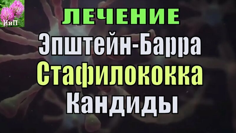 Лечение Cтафилококка (Cтрептококк), вируса Эпштейн Барра, Кандидоза ...