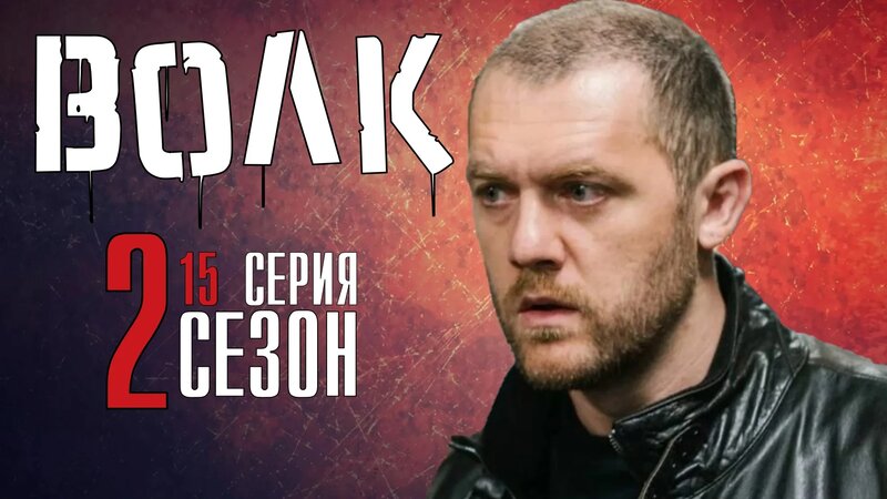 ВОЛК 2 сезон 15 серия. Детектив 2022 НТВ. Анонс и дата выхода ...