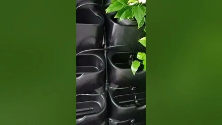 автополив в двурядных фитомодулях