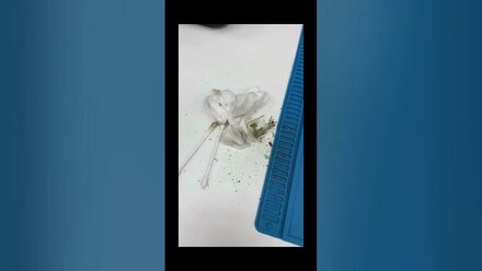 iPhone 5 замена АКБ +чистка #сервисныйцентр #чувашия #iphone #новочебоксарск