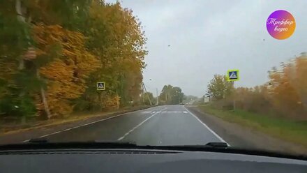 Треффер новости, выпуск 8