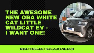 The awesome new ORA White Cat Little Wildcat EV - I want one!