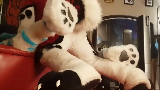 Fursuit Rough Breeding 