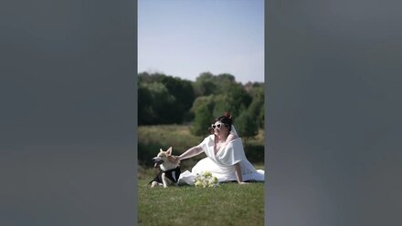 скоро сезон 2025 и мы будем вновь радовать вам свадебными видео.#wedding video