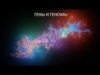 Гены и геномы. Лекция для студентов Верхневолжского аграрного университета.