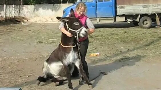 Selena Gomez kokraklari bilan yalangoch