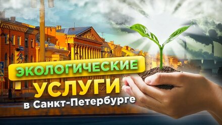 Экологические услуги в СПб