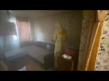 Как избавиться от клопов в диване? Профессиональная обработка дивана от клопов спецами Чикой Сервис