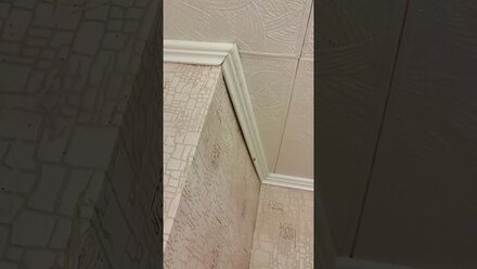 обработка девушки в панели, от тараканов
