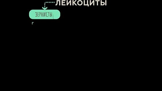 15. Как работает иммунитет？ Строение и принципы работы иммунной системы. — Вид...