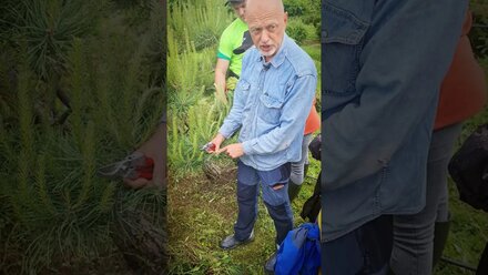 искусство ниваки - практический семинар от Дарусенкова Андрея