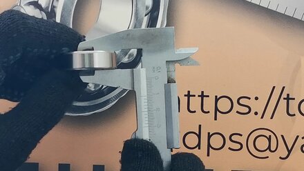 6300 2Z SKF TDPS66 RU