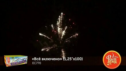 Салют EC770 Всё включено 1,25 х 100 залпов