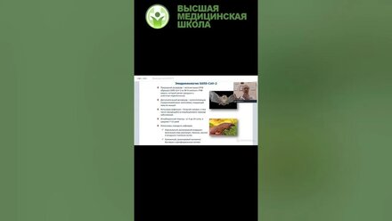 Эпидиомология и происхождение вируса короновируса