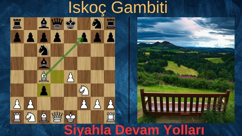 İskoç Açılışı: Kuzey Gambiti, İtalyan Gambiti ve Taktikler - Yandex ...