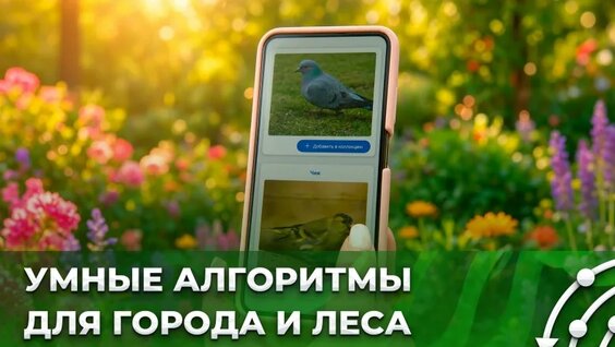 Как нейросети составляют расписание транспорта и распознают голоса пернатых? — Видео от Бел…