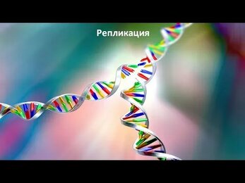 Репликация. Лекция для студентов Верхневолжского аграрного университета.