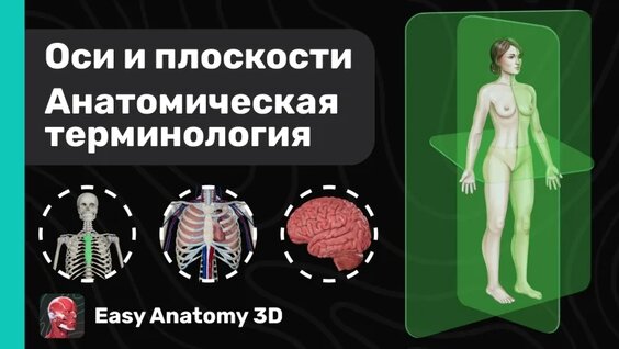 Дити Джекпен секс суреттері