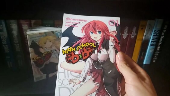 High School DxD Volume 1 Light Novel Review - Justus R. Stone