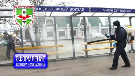 Дезинсекция, дезинфекция, дератизация Чебоксары Чувашия - служба дезинфекции Санмастер