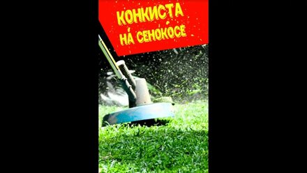 Конкиста на сенокосе