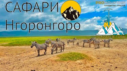 Сафари в Танзании.Кратер Нгоронгоро.