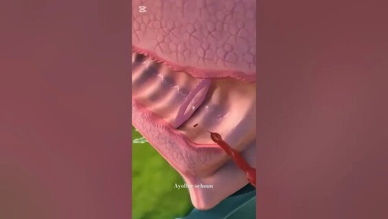 May Victoria HD porno