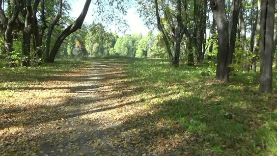 Три уникальных заброшенных усадеб Подмосковья [Итоги года] — Видео от THROWN PLACES :: заброхи забро…