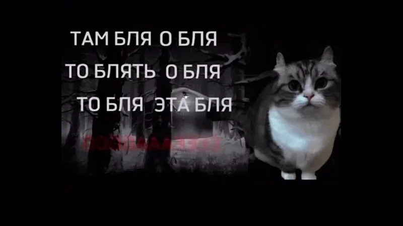 Апай порно арқылы жігітті азғырған