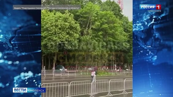Смоляне делятся кадрами последствий урагана в регионе — Видео от Вести-Смоленск