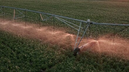 Irrigation a potato field with The Valley Center Pivot System | Drone Video Mavic 2 Pro
