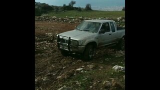 VolksWagen taro Panaxaiko