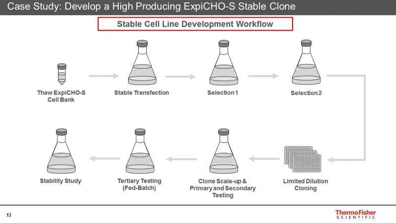 Accelerating Bio-Production Using ExpiCHO Stable Production Medium ...