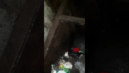 6 февраля 2020 г.