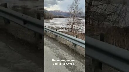 Велосипедисты весна на Алтае