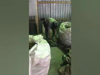 Дробилка роторная ИПР-600-450