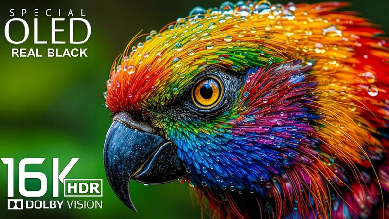 Amazing 16K HDR at 60 fps (16K Video) - Dolby Vision - Yandex Video ...