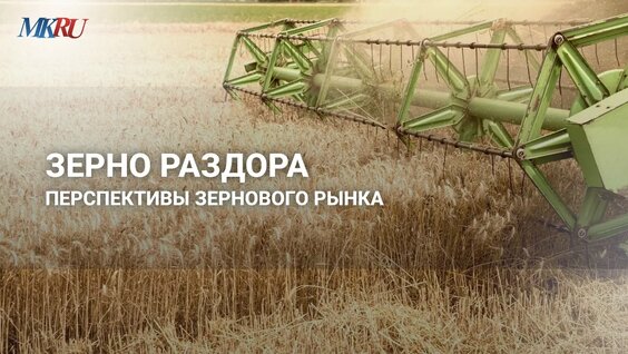Зерно раздора: перспективы зернового рынка — Video by Московский Комсомолец (МК)