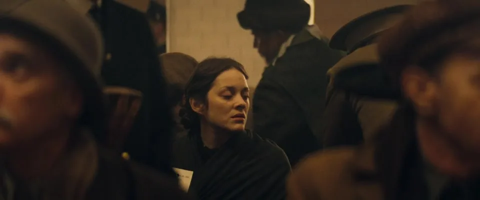 Ular vaginadan spermani istemol qiladilar