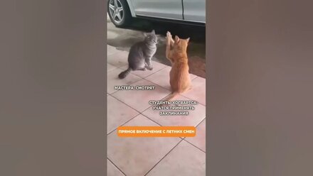 Зато всего пару тренировок — и вот ты уже волшебник, который создает 1000 заклинаний в секунду😁
