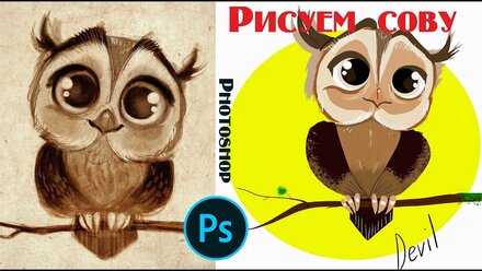 Рисование иллюстрации в Photoshop | Пошаговый рисунок совы