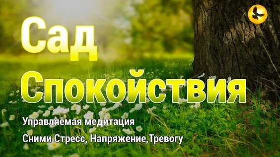 Медитация для Глубокого Успокоения Нервов _ Медитация с голосом для начинающих — Видео от Pr...