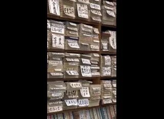 Экскурсия по книжному району Токио с Еленой Кондрацкой — Видео от Катана Капитана