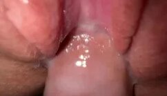 Fucking pussies in line