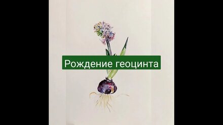 как нарисовать геоцинт